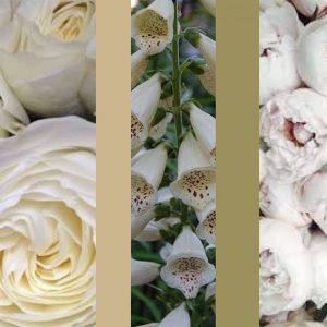 Wedding Styling - White Flowers